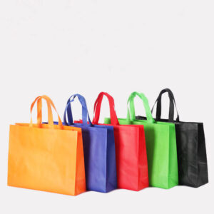 Wholesale Custom Foldable Shopping Recycle PP Non Woven Bag
